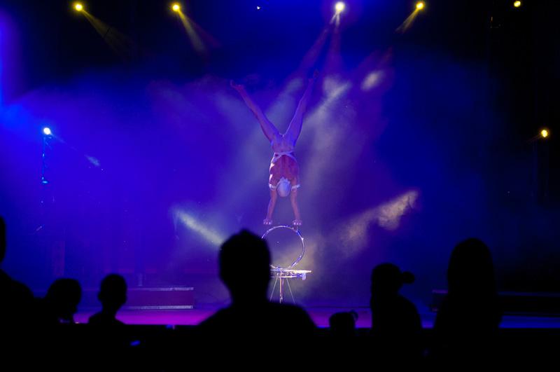 circo-131
